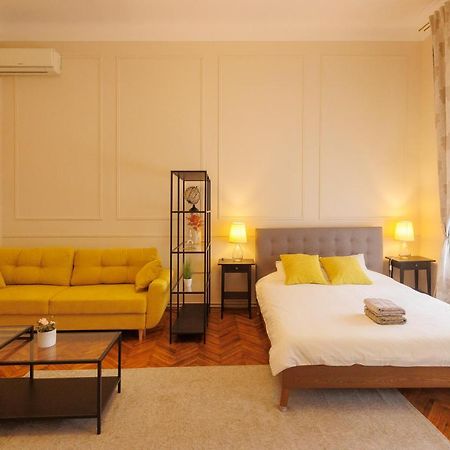 Spacious Flat In Old Town Wi-Fi 蒂米什瓦拉 外观 照片