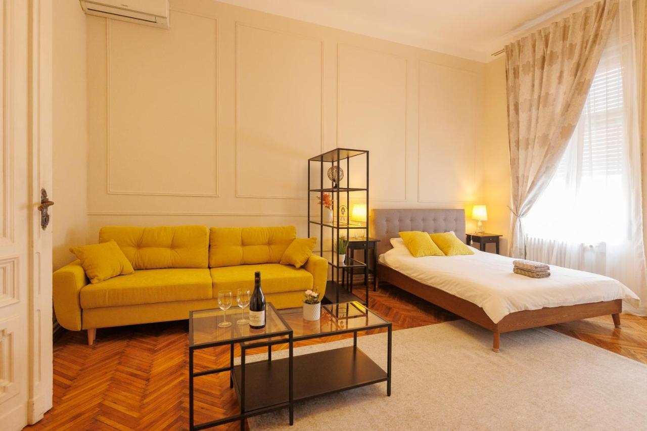 Spacious Flat In Old Town Wi-Fi 蒂米什瓦拉 外观 照片