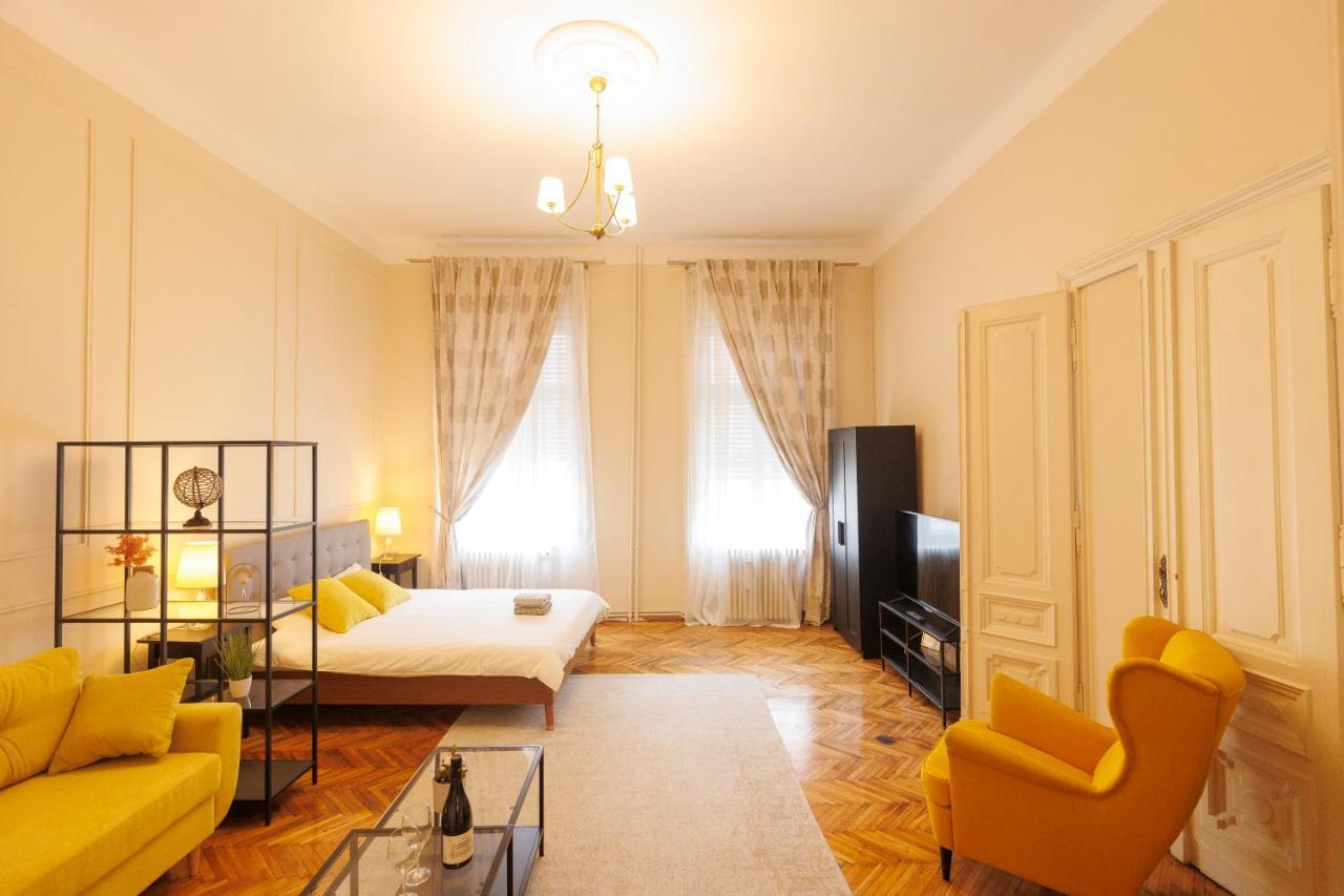 Spacious Flat In Old Town Wi-Fi 蒂米什瓦拉 外观 照片
