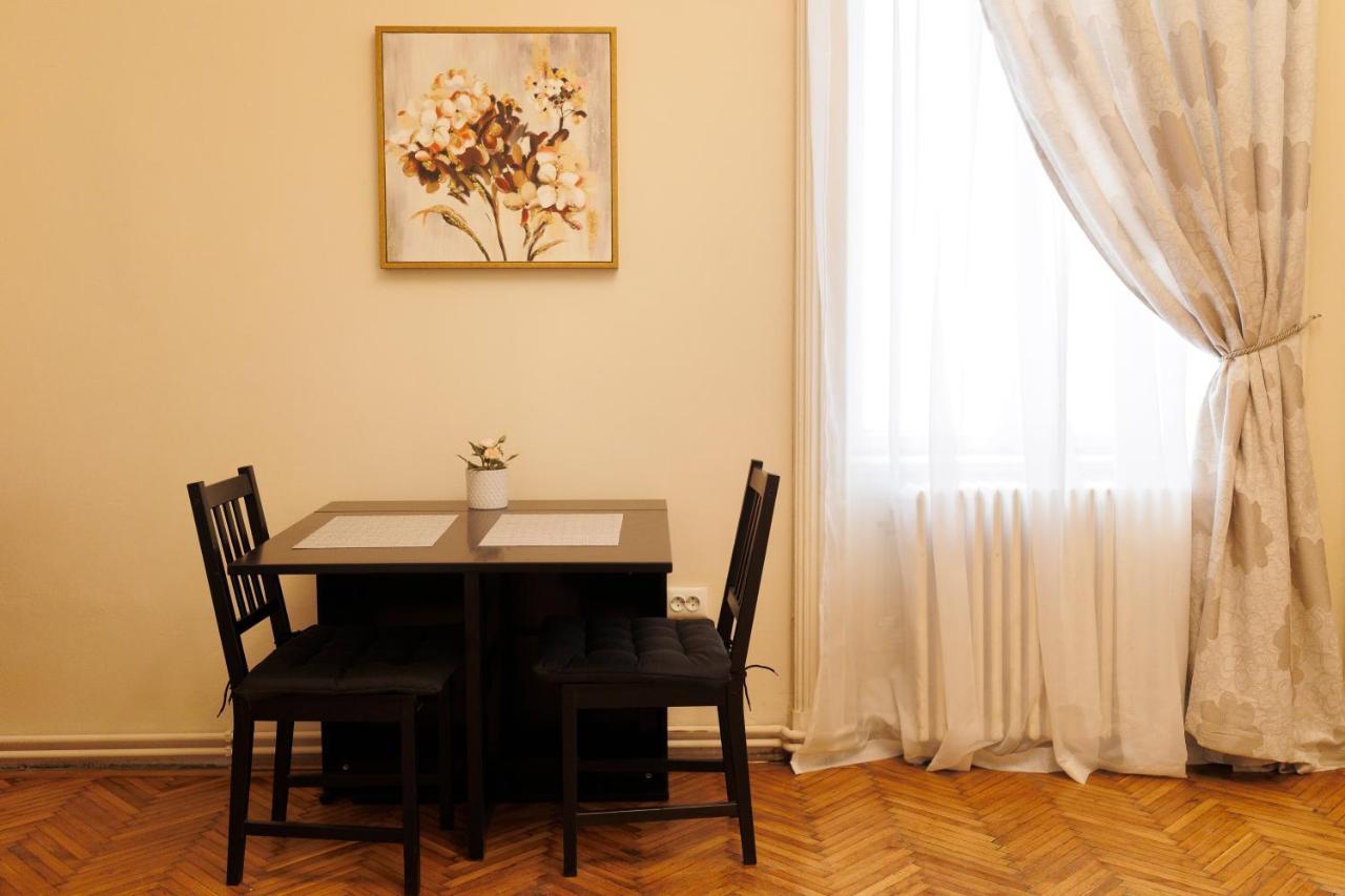 Spacious Flat In Old Town Wi-Fi 蒂米什瓦拉 外观 照片